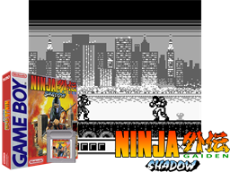 Ninja Gaiden Shadow